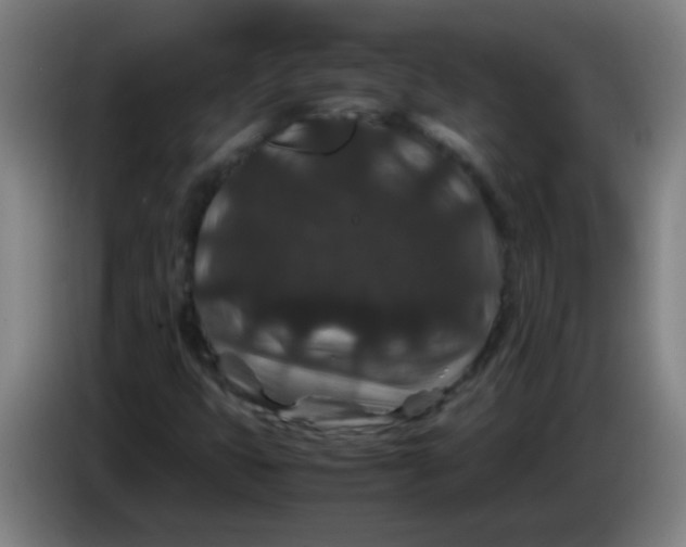 X0000085231399200703301715