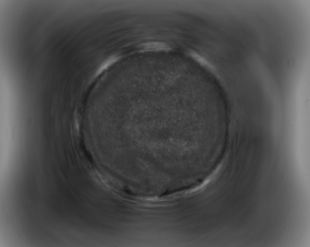 X0000085231401200703301715