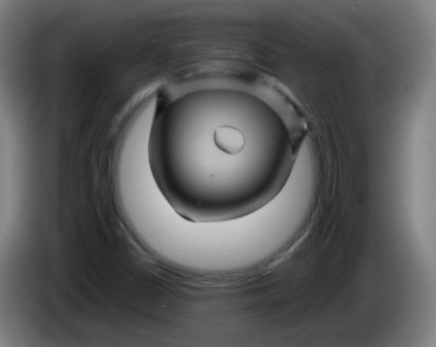 X0000085231402200703301715