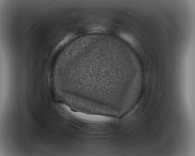 X0000085231403200703301715