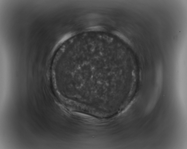 X0000085231405200703301715