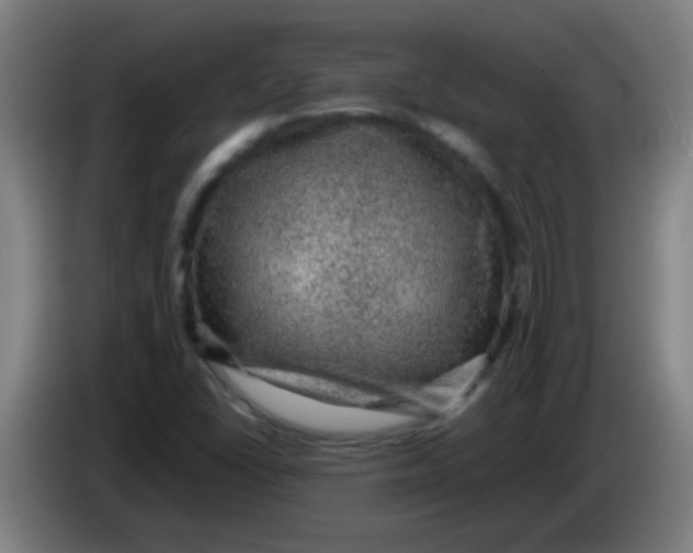 X0000085231406200703301715