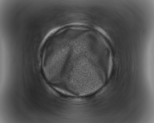 X0000085231408200703301715