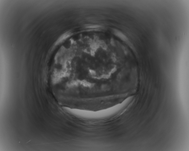 X0000085231411200703301715