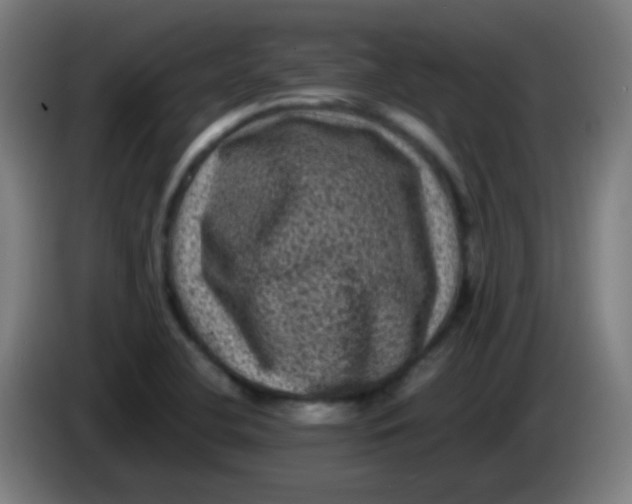 X0000085231412200703301715