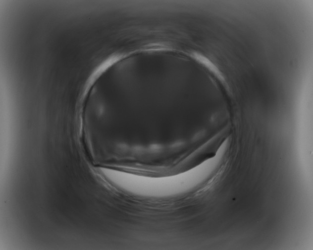 X0000085231413200703301715