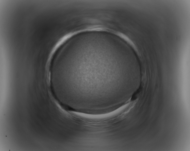 X0000085231414200703301715