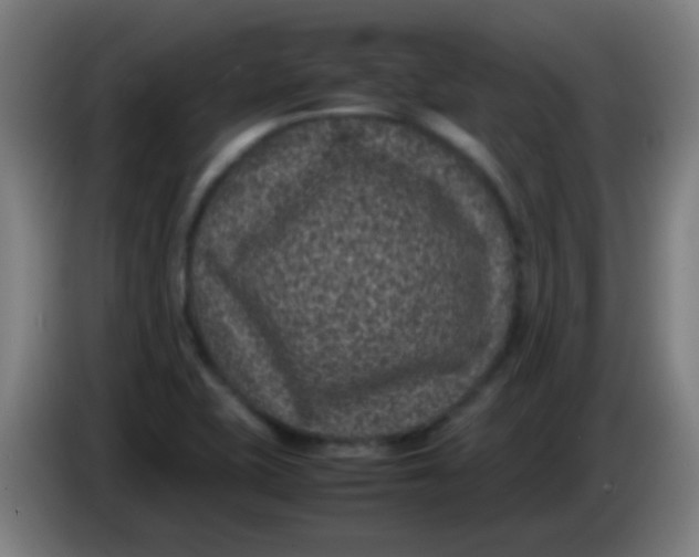 X0000085231415200703301715