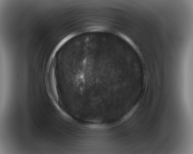 X0000085231418200703301715