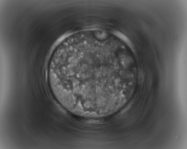 X0000085231419200703301715