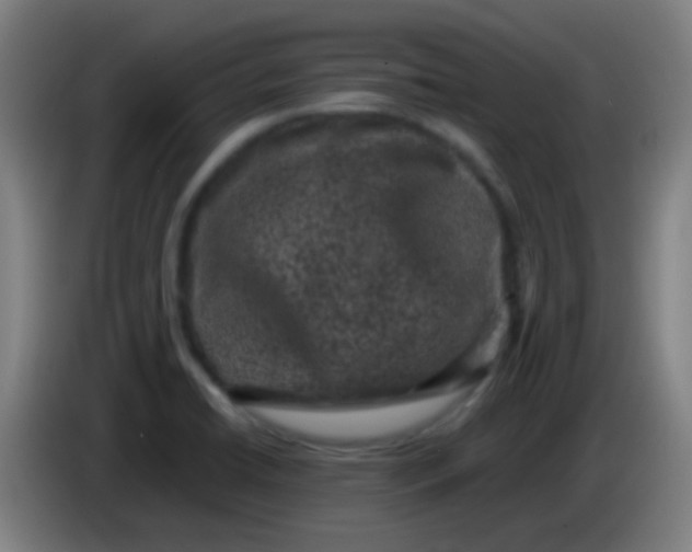 X0000085231422200703301715