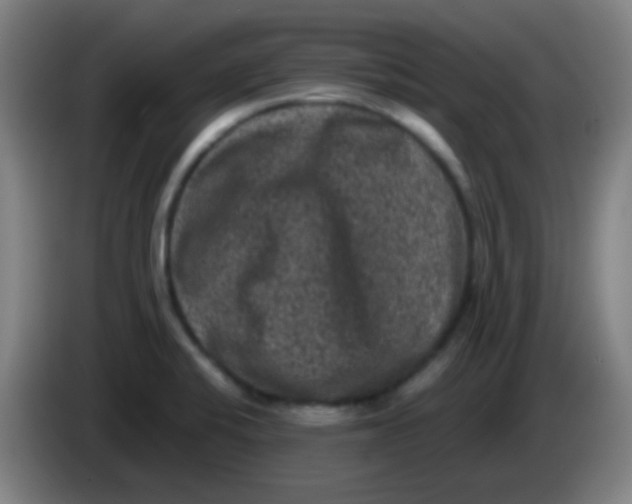 X0000085231424200703301715