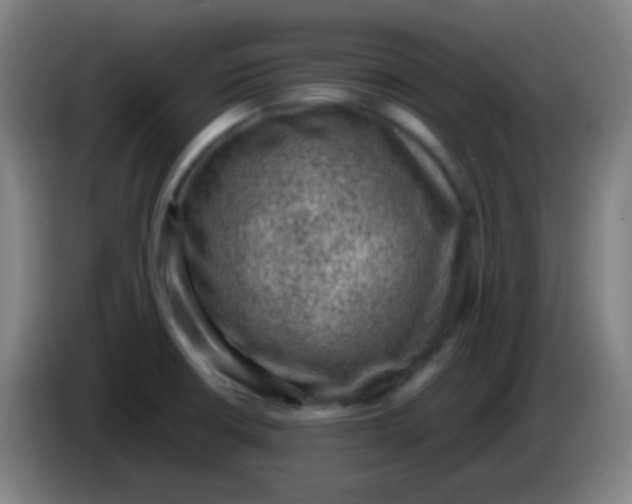 X0000085231426200703301715