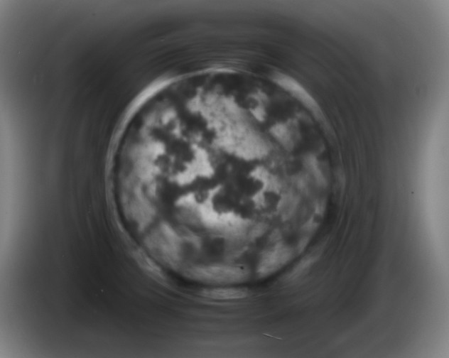 X0000085231427200703301715