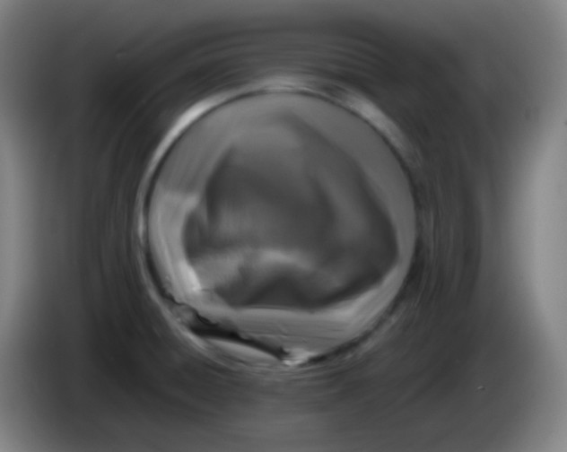 X0000085231428200703301715