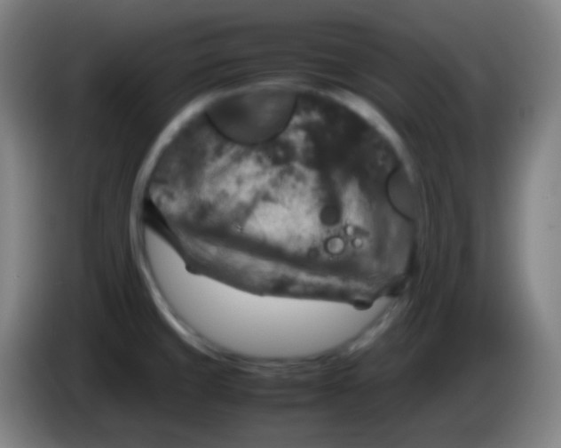 X0000085231429200703301715
