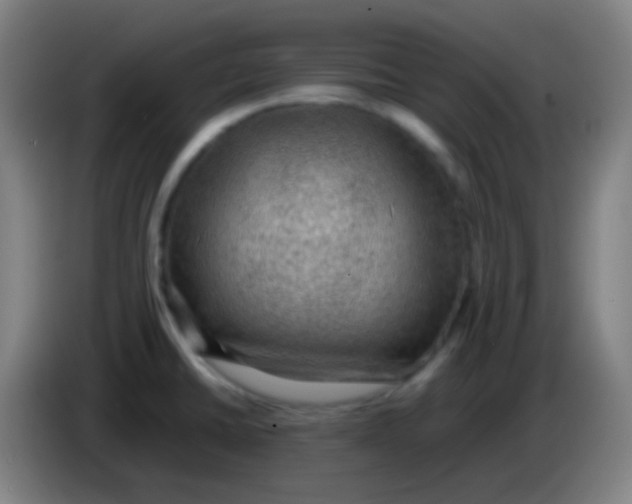 X0000085231430200703301715