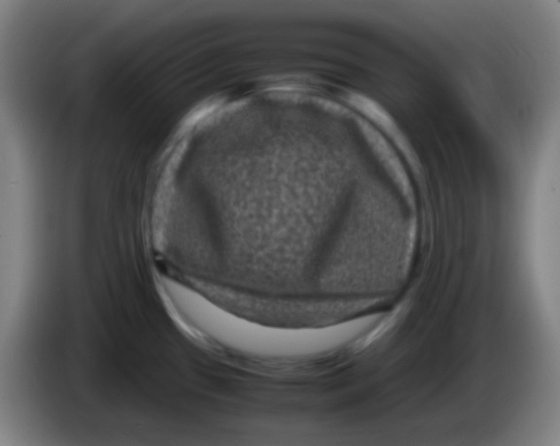 X0000085231433200703301715