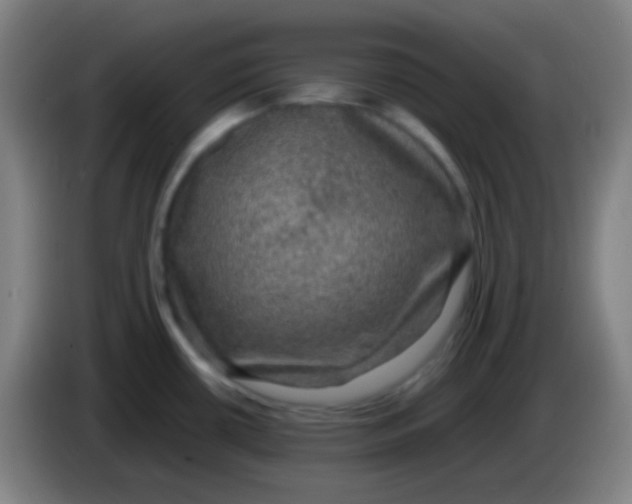 X0000085231434200703301715