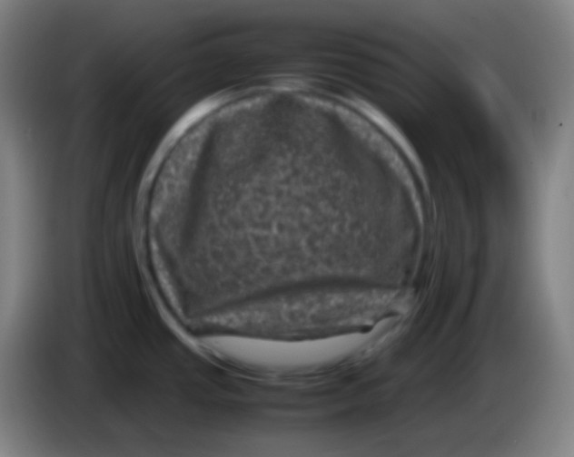X0000085231437200703301715
