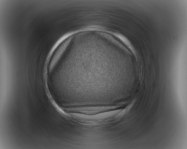 X0000085231438200703301715