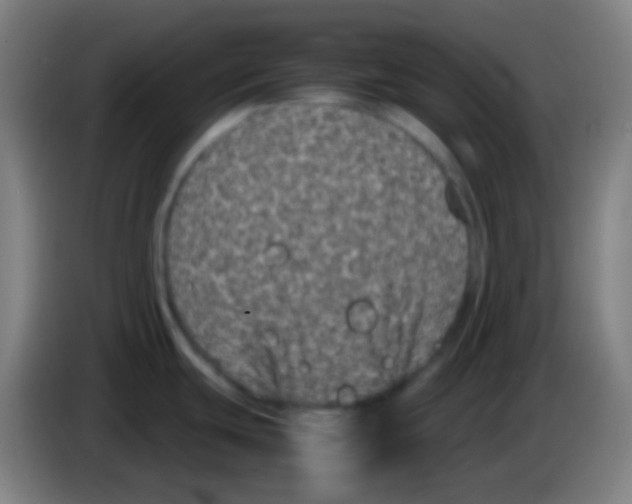 X0000085231439200703301715