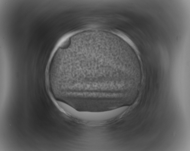 X0000085231440200703301715