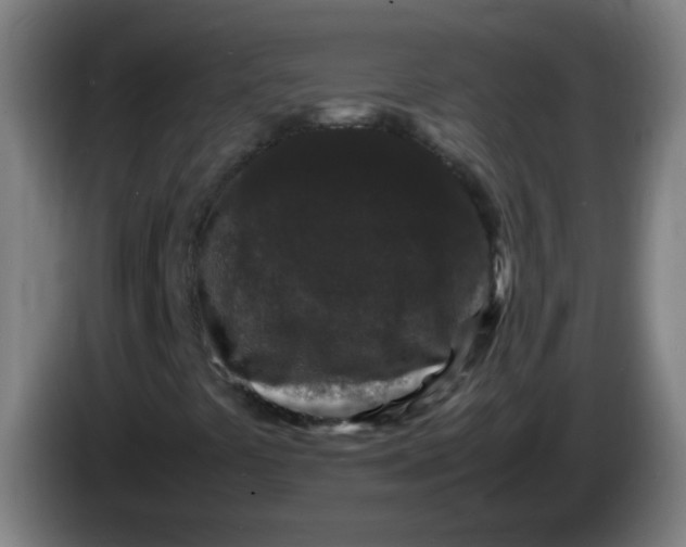 X0000085231441200703301715