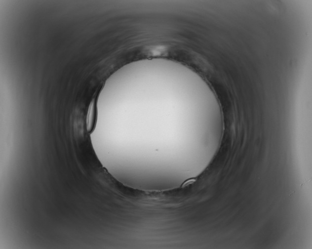 X0000085231442200703301715