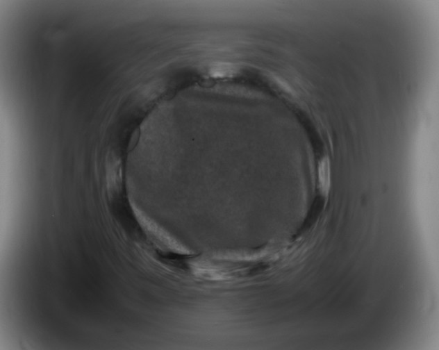 X0000085231443200703301715