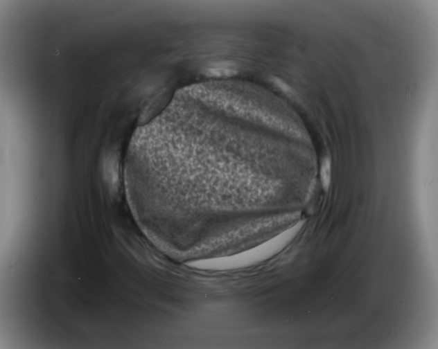 X0000085231444200703301715
