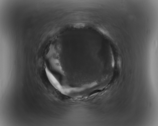X0000085231445200703301715