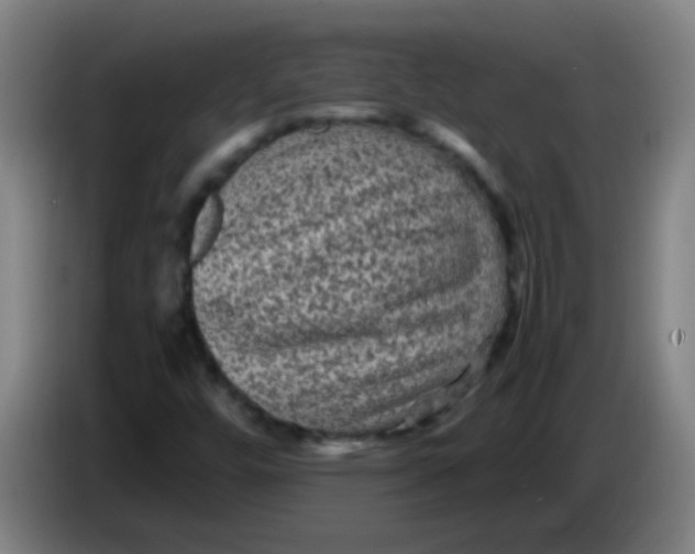 X0000085231448200703301715