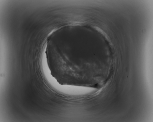 X0000085231449200703301715