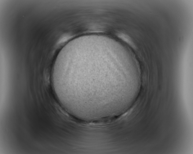 X0000085231451200703301715