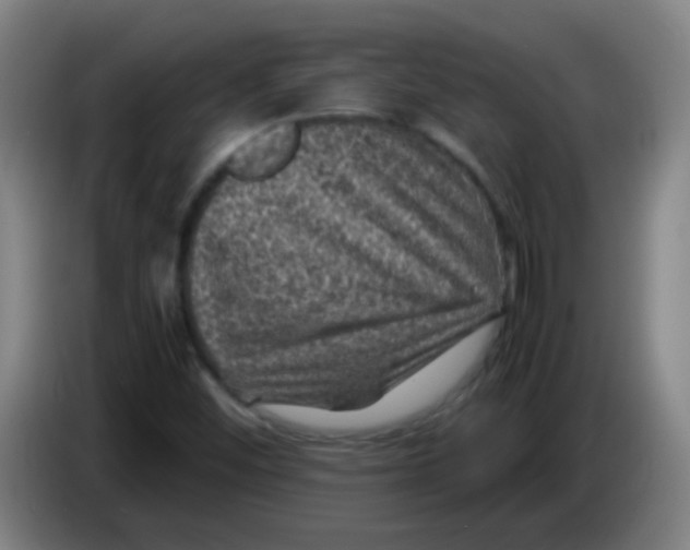 X0000085231452200703301715