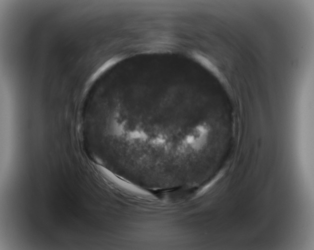 X0000085231453200703301715