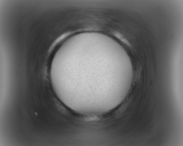 X0000085231454200703301714