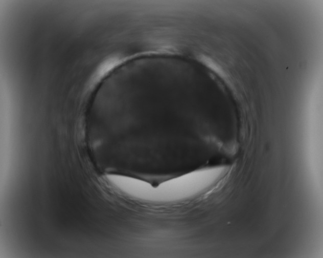 X0000085231455200703301714