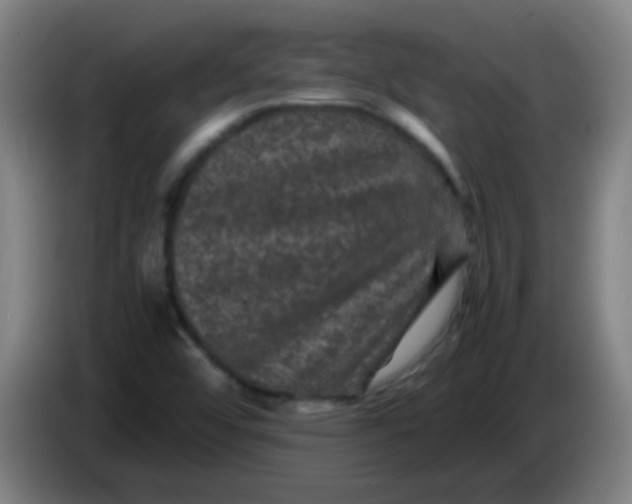 X0000085231456200703301714
