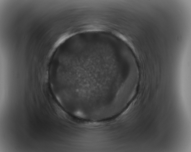 X0000085231459200703301714