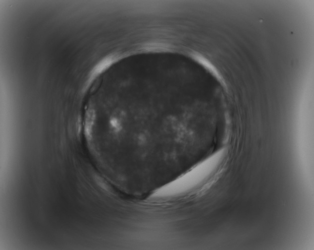 X0000085231461200703301714