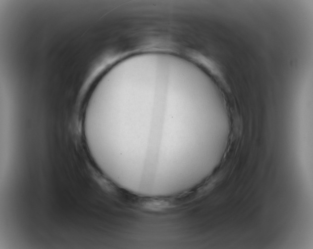 X0000085231462200703301714