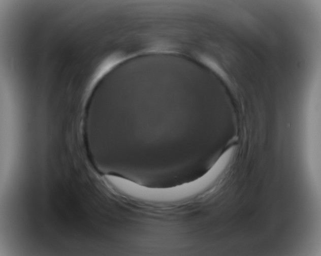 X0000085231463200703301714
