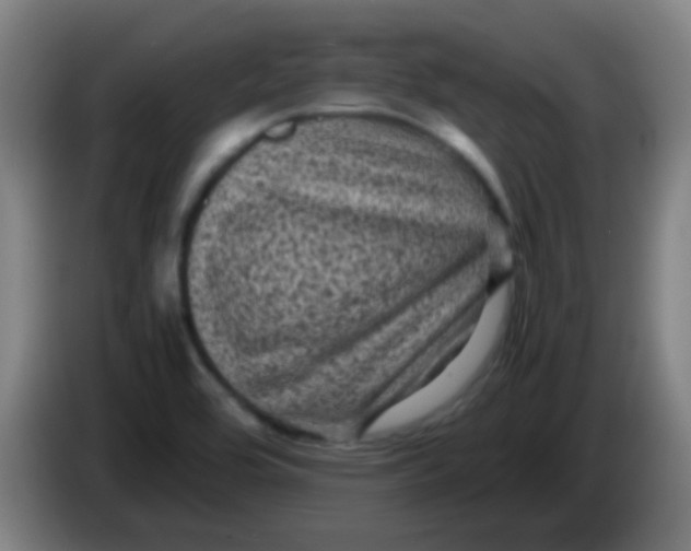 X0000085231464200703301714