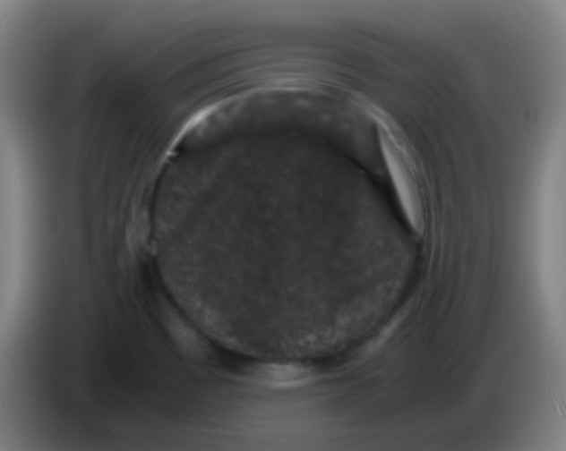 X0000085231465200703301714