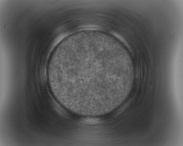 X0000085231466200703301714