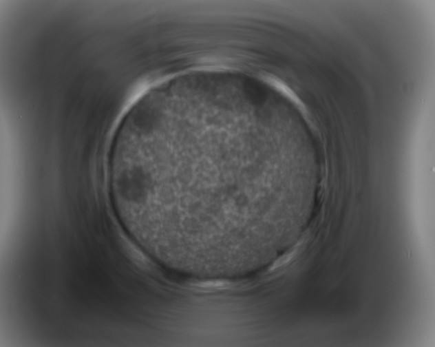 X0000085231467200703301714