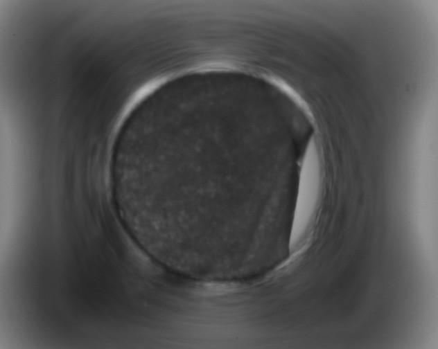 X0000085231469200703301714