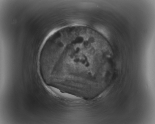 X0000085231471200703301714